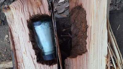 Yakmak için aldığı odunu parçaladı! 43 yıl sonra ortaya çıktı