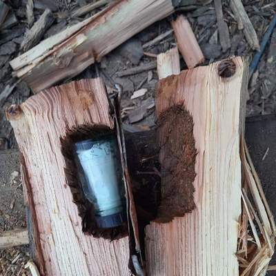 Yakmak için aldığı odunu parçaladı! 43 yıl sonra ortaya çıktı