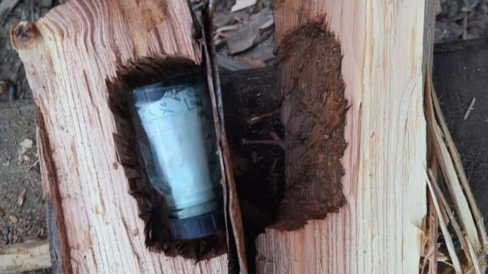 Yakmak için aldığı odunu parçaladı! 43 yıl sonra ortaya çıktı