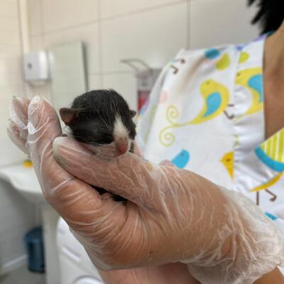 Bu fotoda 'Mucize' var!