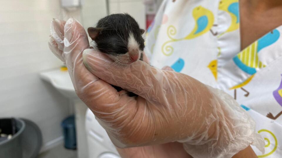 Bu fotoda 'Mucize' var!