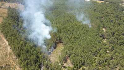 Antalya'da korkutan orman yangını!