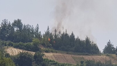 Osmaniye'de orman yangını!