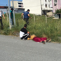 Bir kadın daha pompalıyla öldürüldü!