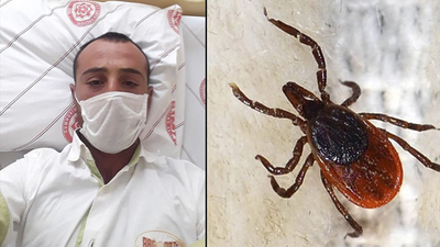 Sakın yapmayın! Bedeli çok ağır