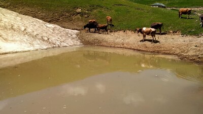 Dipsiz Göl'den haber var! İşte son görüntüsü!