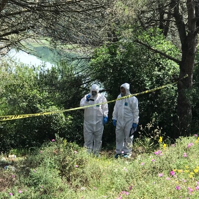 Ormanda feci olay! Boğazı kesilmiş halde bulundu!