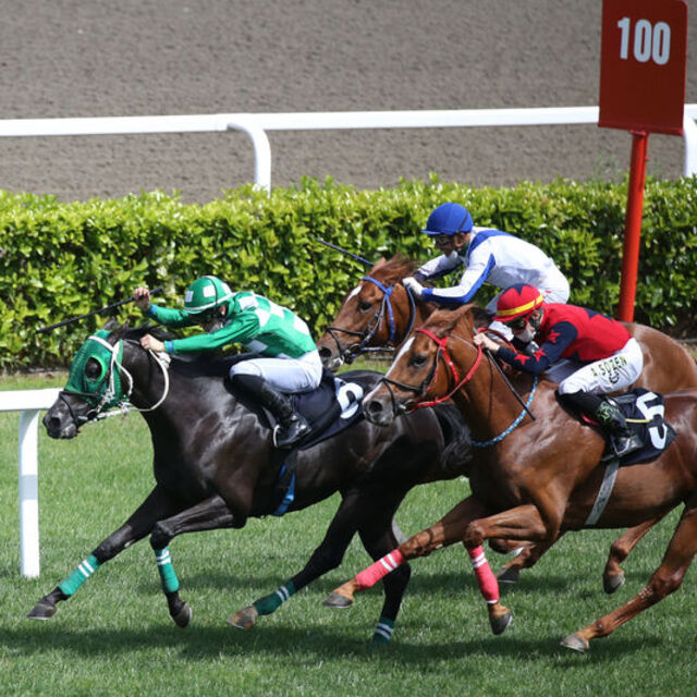 At yarışları yeniden başladı