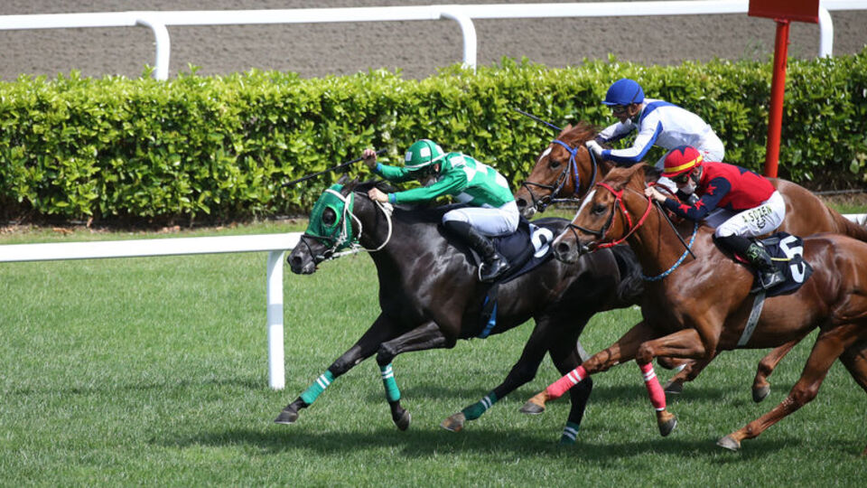 At yarışları yeniden başladı