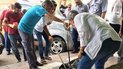 Yolda yürürken başına yılan düştü!