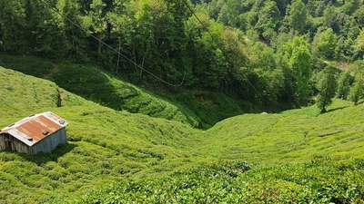 Elektrik akımına kapılan genç hayatını kaybetti