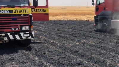 Mardin'de 200 dönüm ekili alan küle döndü!