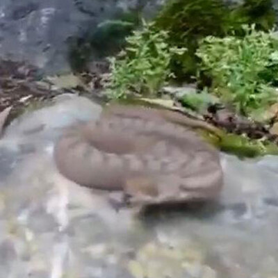 Çekim yaparken neye uğradığını şaşırdı... O anları kaydetti