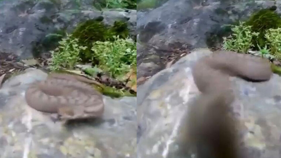 Çekim yaparken neye uğradığını şaşırdı... O anları kaydetti