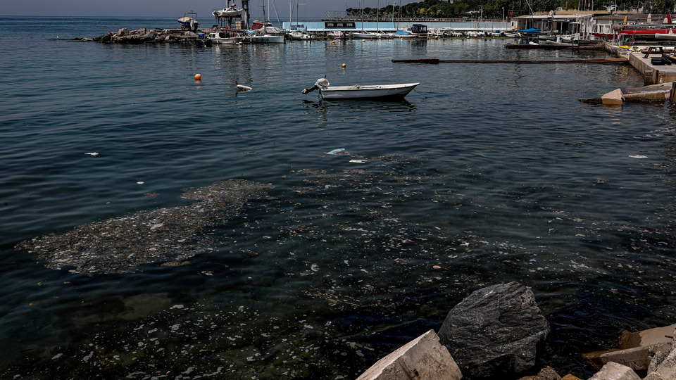 Caddebostan'da akılalmaz kirlilik!