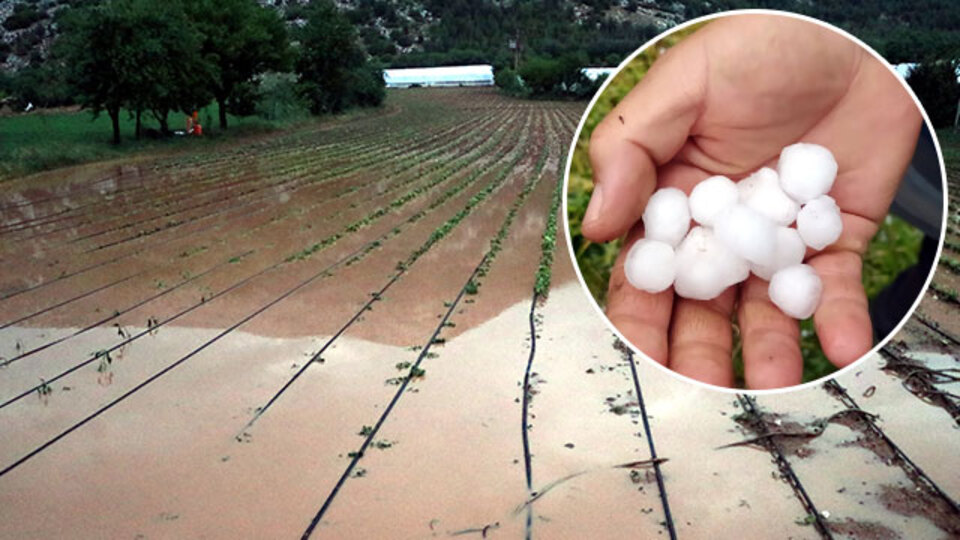 Dolu, tarım alanlarına zarar verdi