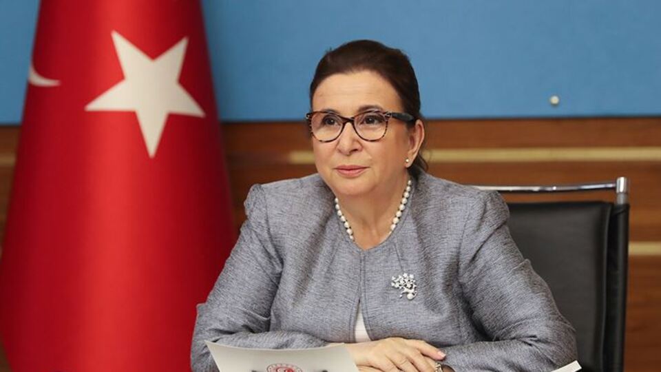 "Destekler hizmet ihracatçısını bekliyor"