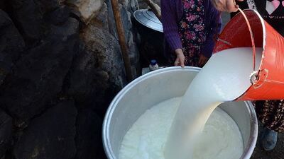 Toplanan inek sütü miktarı nisanda arttı