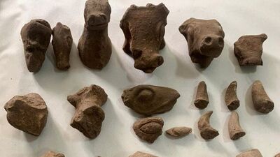 Çoban koyun otlatırken buldu! Tam 30 parça