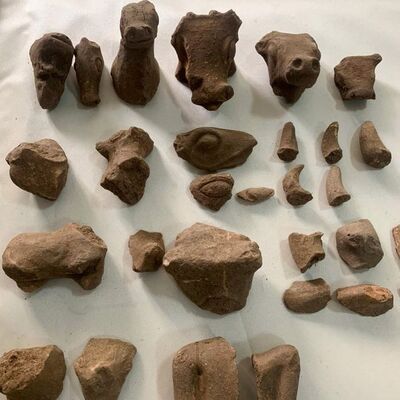 Çoban koyun otlatırken buldu! Tam 30 parça