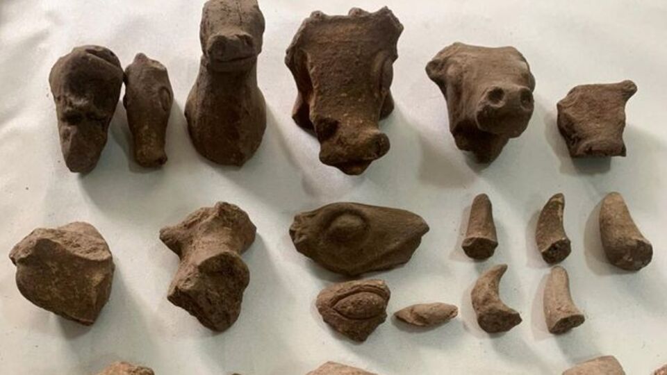 Çoban koyun otlatırken buldu! Tam 30 parça