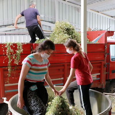 Bu yağın litresi 40 bin lira!
