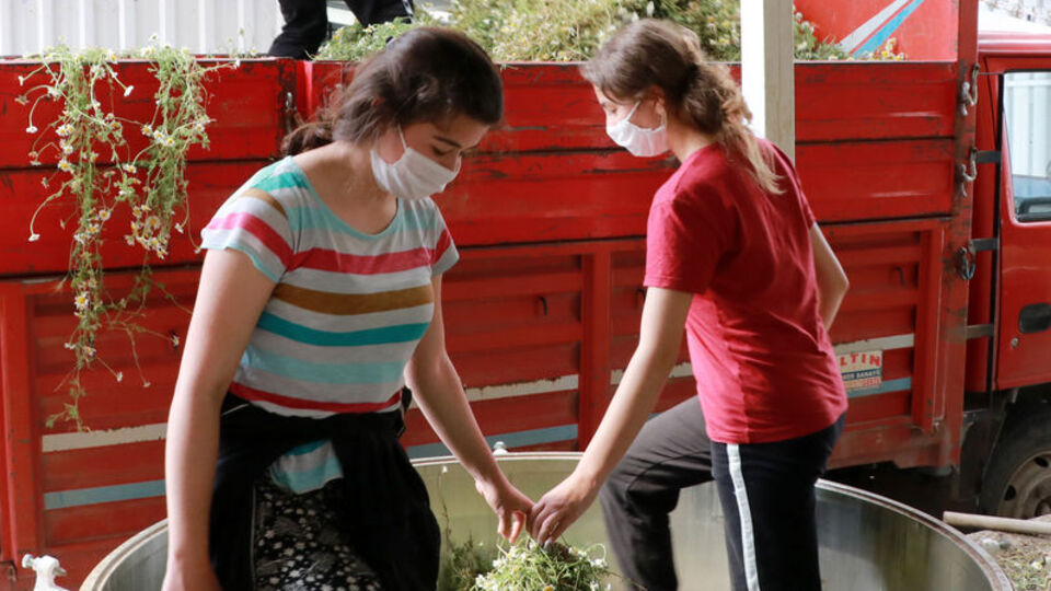 Bu yağın litresi 40 bin lira!