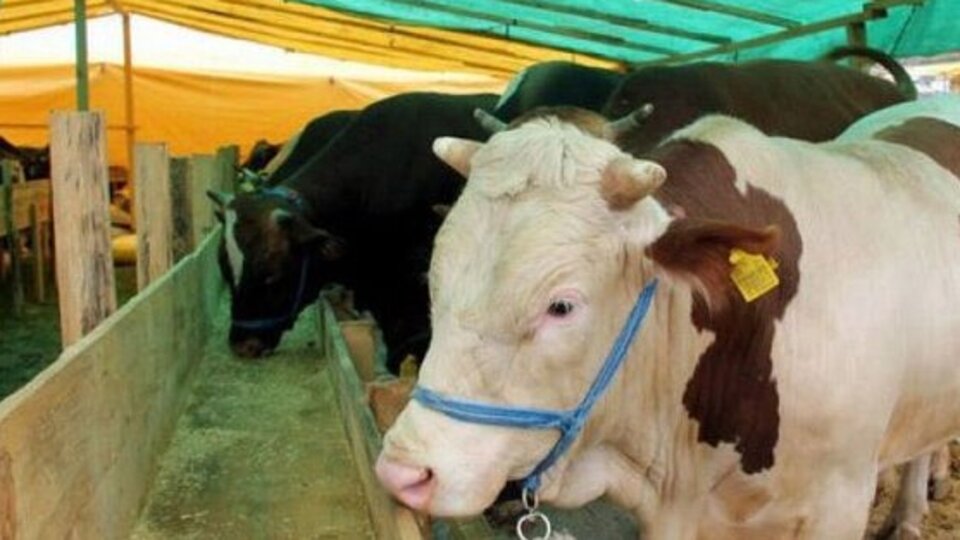 Kurban Bayramı ne zaman?