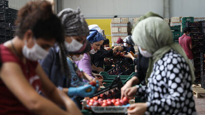 İhracatı yüzde 49 arttı