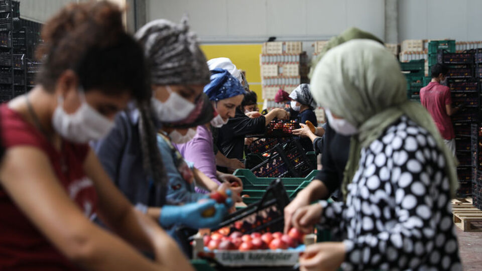 İhracatı yüzde 49 arttı