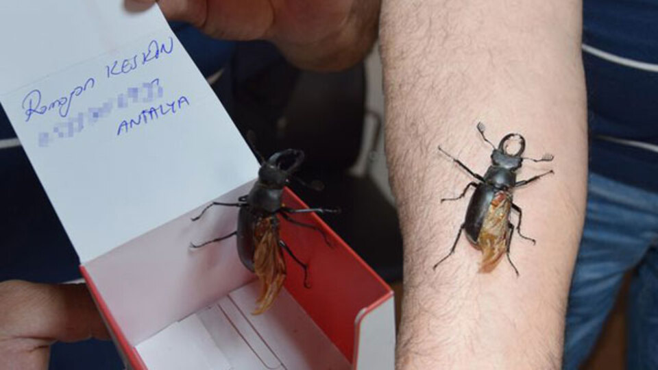 İş yerinin önünde tesadüfen buldu! Hemen bunu yaptı