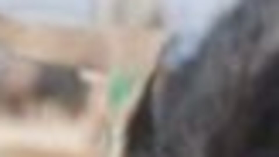 Kurban Bayramı ne zaman?