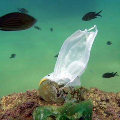 'Yeni Normal' denize ulaştı!