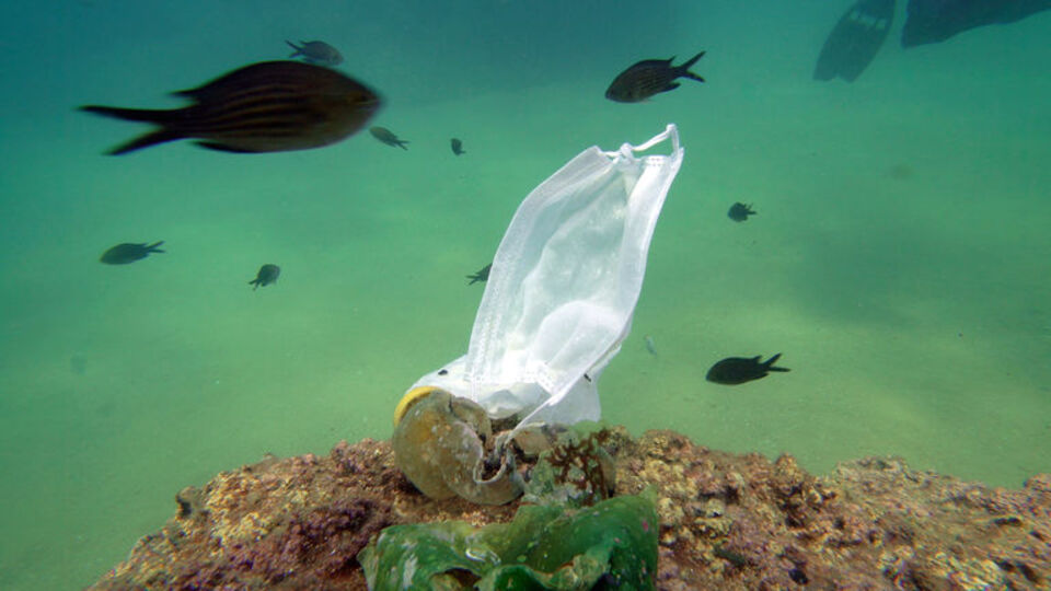 'Yeni Normal' denize ulaştı!