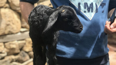 Bingöl depreminde annesini kaybetmişti...