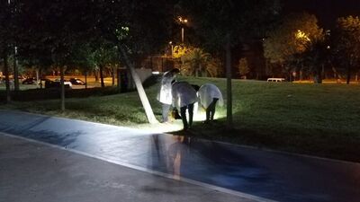 Kavgayı ayırmak isteyen gece bekçisi yaralandı