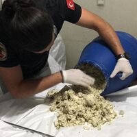 Otlu peynirden çıktı! Tam 33 kilogram! Pes artık!