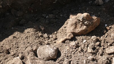 Avrupa'da 1200'e yakın yerde ismi var! Sivas'ta aranıyor