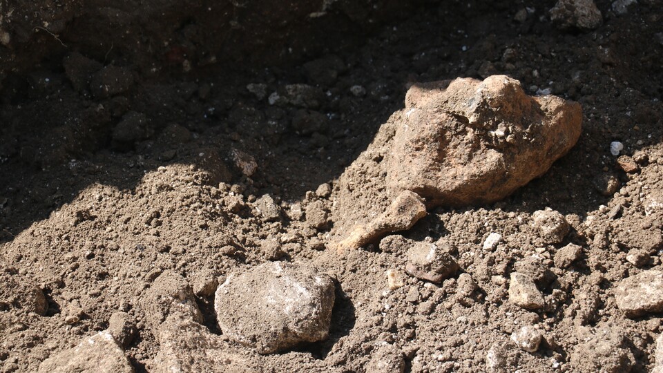 Avrupa'da 1200'e yakın yerde ismi var! Sivas'ta aranıyor