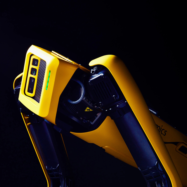 Meraklısına 75 bin dolara robot köpek!