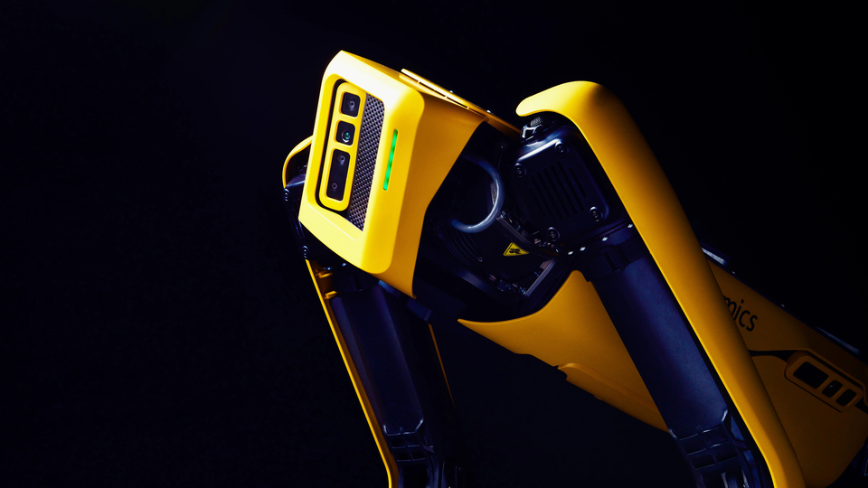 Meraklısına 75 bin dolara robot köpek!