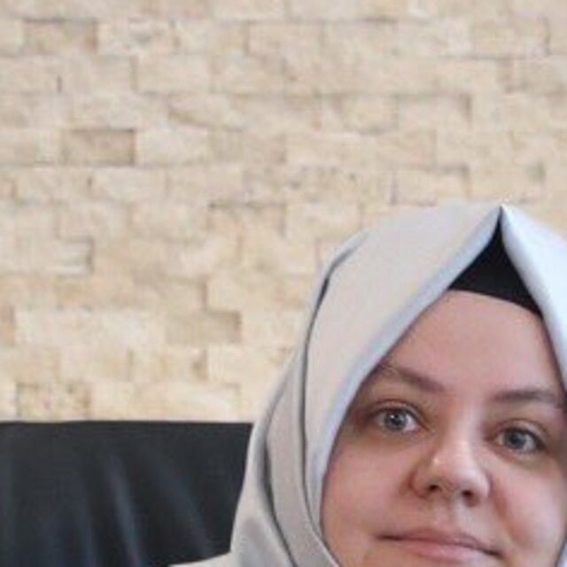 TES'te devlet katkısı yüzde 1 olacak