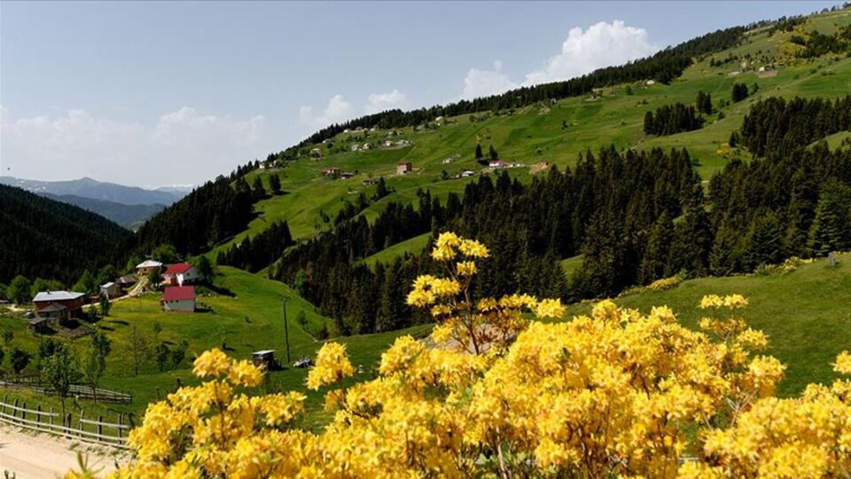 Bulutlara komşu... Görsel şölen sunuyor