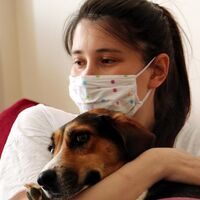 Kararı mahkeme verecek! Sitede köpek kavgası!