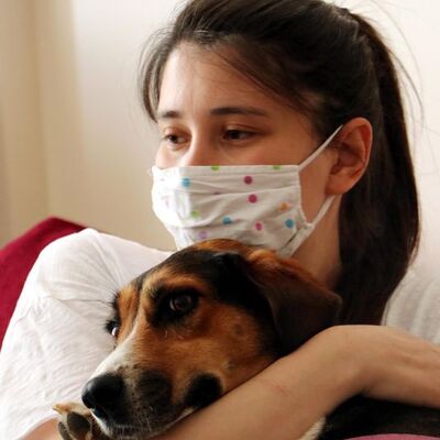 Kararı mahkeme verecek! Sitede köpek kavgası!