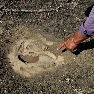 Dünyada benzeri az! 12 bin yıllık