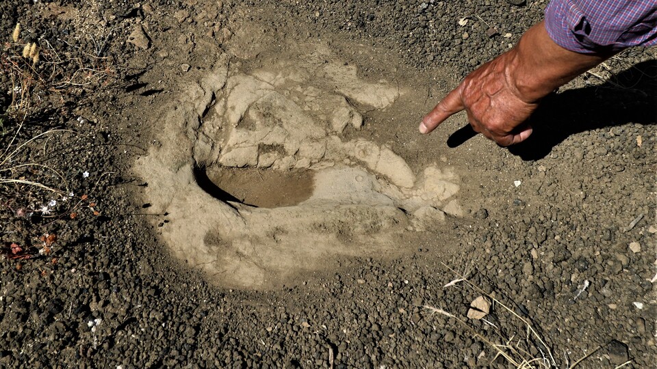 Dünyada benzeri az! 12 bin yıllık