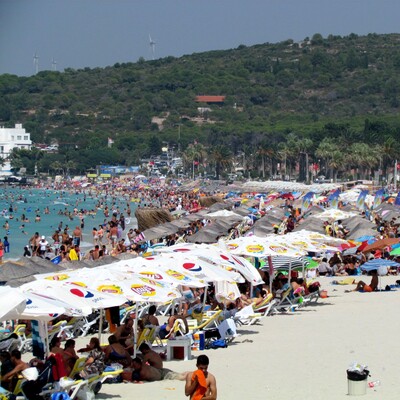 İkinci dalga 'ekovirüs'