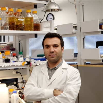 Harvardlı Türk bilim insanına 400 bin dolarlık ödül