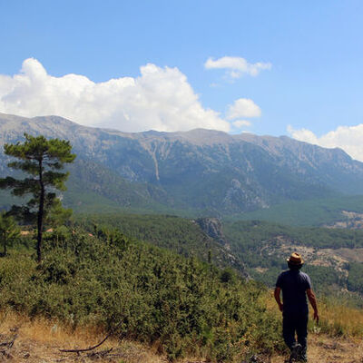2200 yıllık davaya konu olmuştu... Keşfedildi